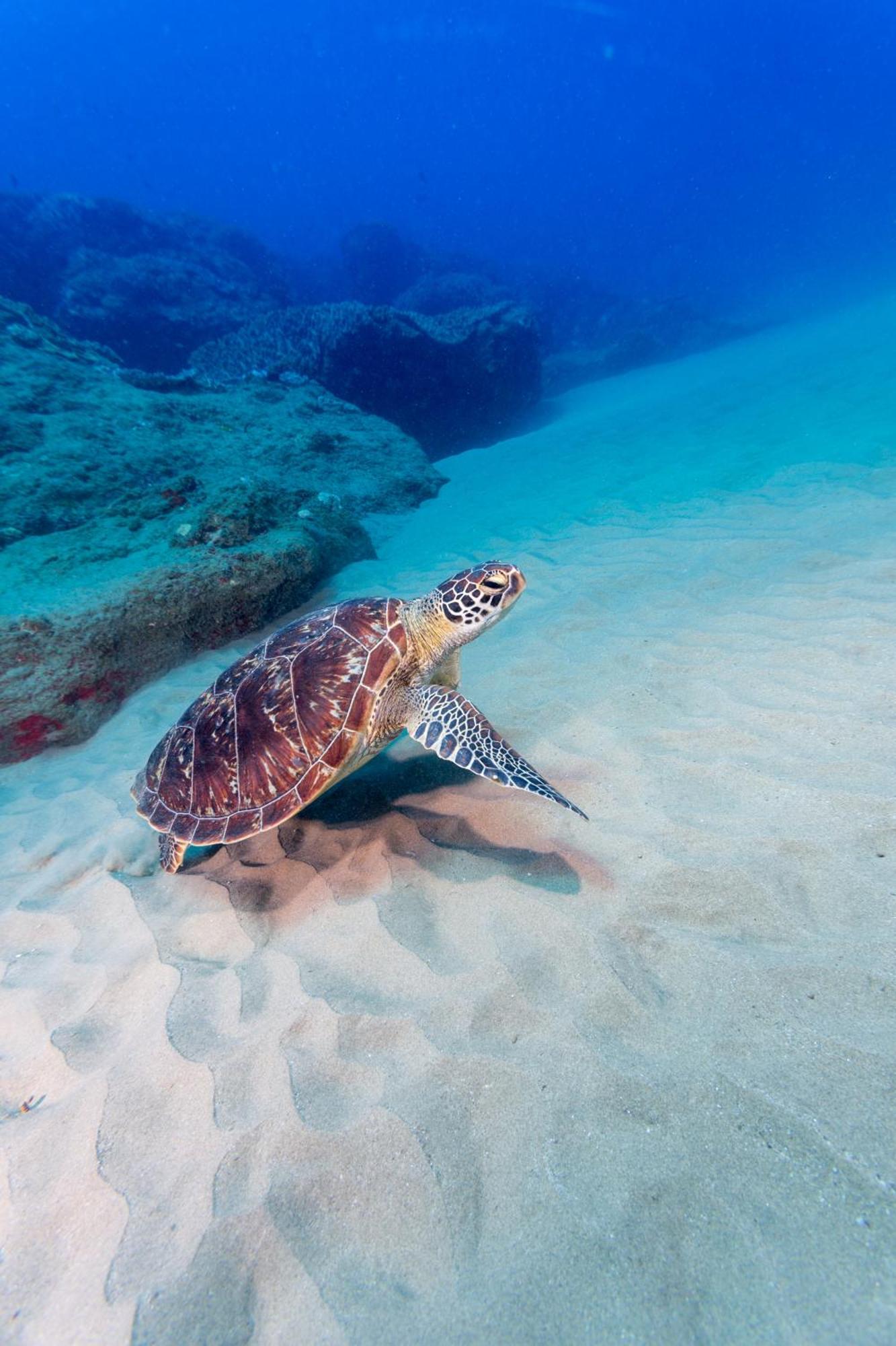 Sodwana Bay Lodge Dive & Fishing Resort Luaran gambar