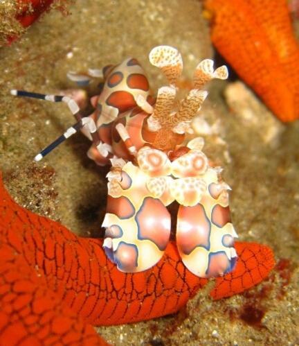 Sodwana Bay Lodge Dive & Fishing Resort Luaran gambar