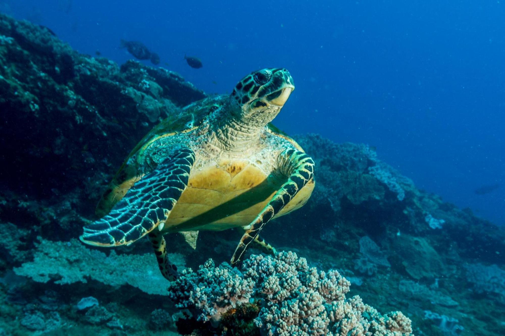 Sodwana Bay Lodge Dive & Fishing Resort Luaran gambar