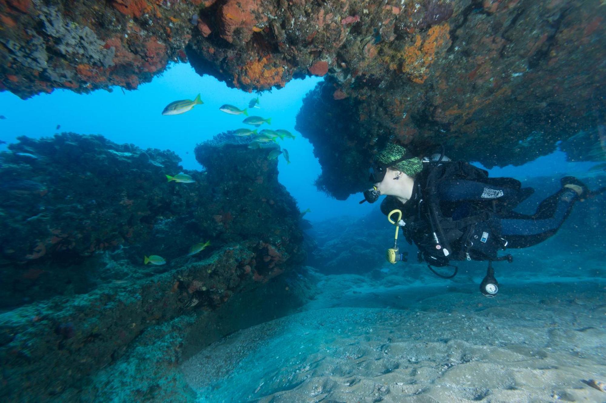Sodwana Bay Lodge Dive & Fishing Resort Luaran gambar