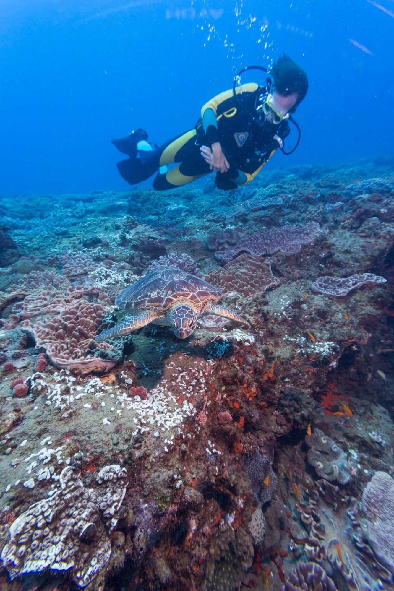 Sodwana Bay Lodge Dive & Fishing Resort Luaran gambar
